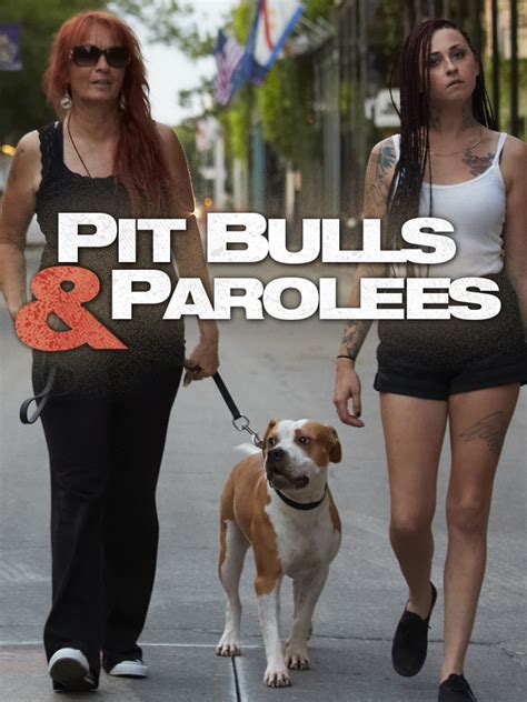 Pit Bulls and Parolees: Season 4 .